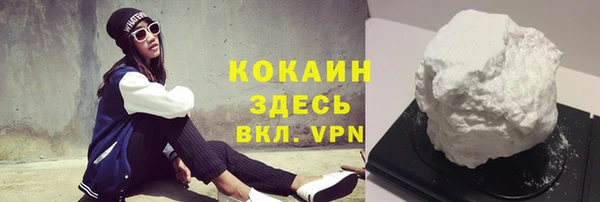 молекула духа Арсеньев