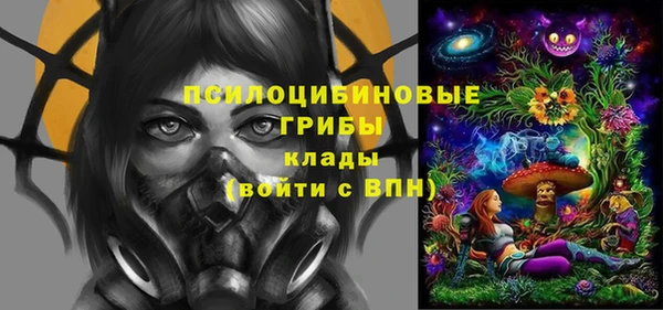 крисы Сатка