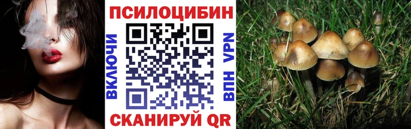 Галлюциногенные грибы ЛСД  Бронницы 